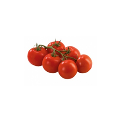 Strauchtomaten 1kg