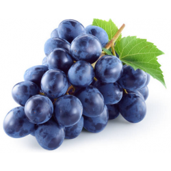 Weintrauben blau