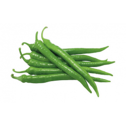 Türkischer Paprika "Sivri"