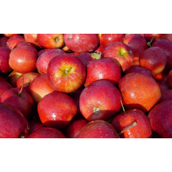 Äpfel "Red Prince" 1 Kg