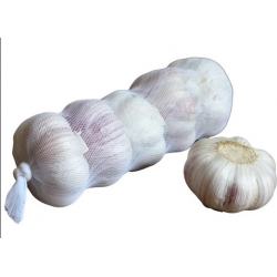 copy of MIX MARKT - Muster