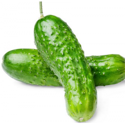 Kurze Gurken