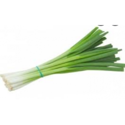 Lauchzwiebeln (Bund)