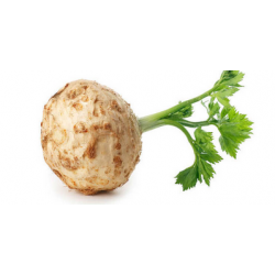 copy of MIX MARKT - Muster