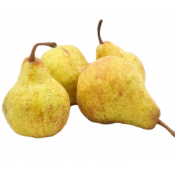 Birnen