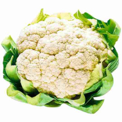 Blumenkohl STÜCK