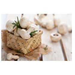 Champignons weiss 400g