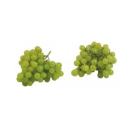 Trauben hell kernlos 500G