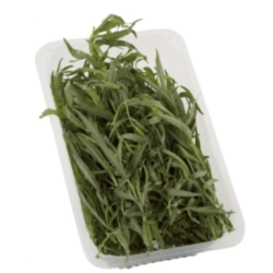 Bohnenkraut 40g SL 40G