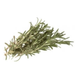 Rosmarin 100g