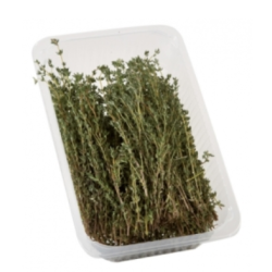 Thymian 100g