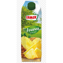 Tamek – Ananasfrucht 1l