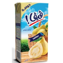 Viva – Guavanektar 1l