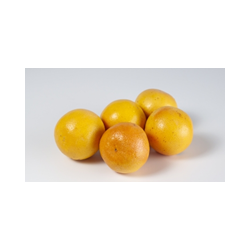 copy of SB MARKT - Muster